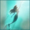 LC_mermaid's Avatar
